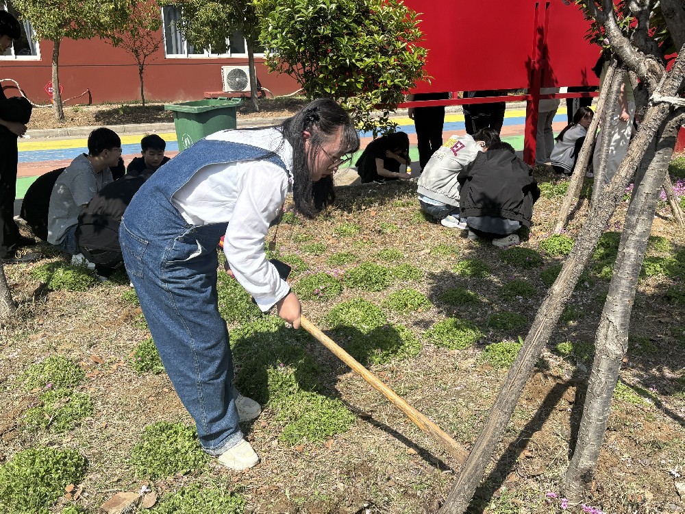 除草护绿践初心,凝心聚力美校园 | 我校师生共绘文明画卷
